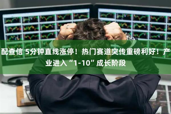 配查信 5分钟直线涨停！热门赛道突传重磅利好！产业进入“1-10”成长阶段